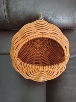 Bird nest