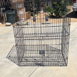 Birds Cage