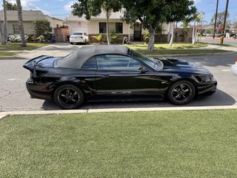2000 Ford Mustang