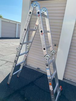 Ladder 12”