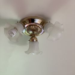Vintage Ceiling Light Fixture