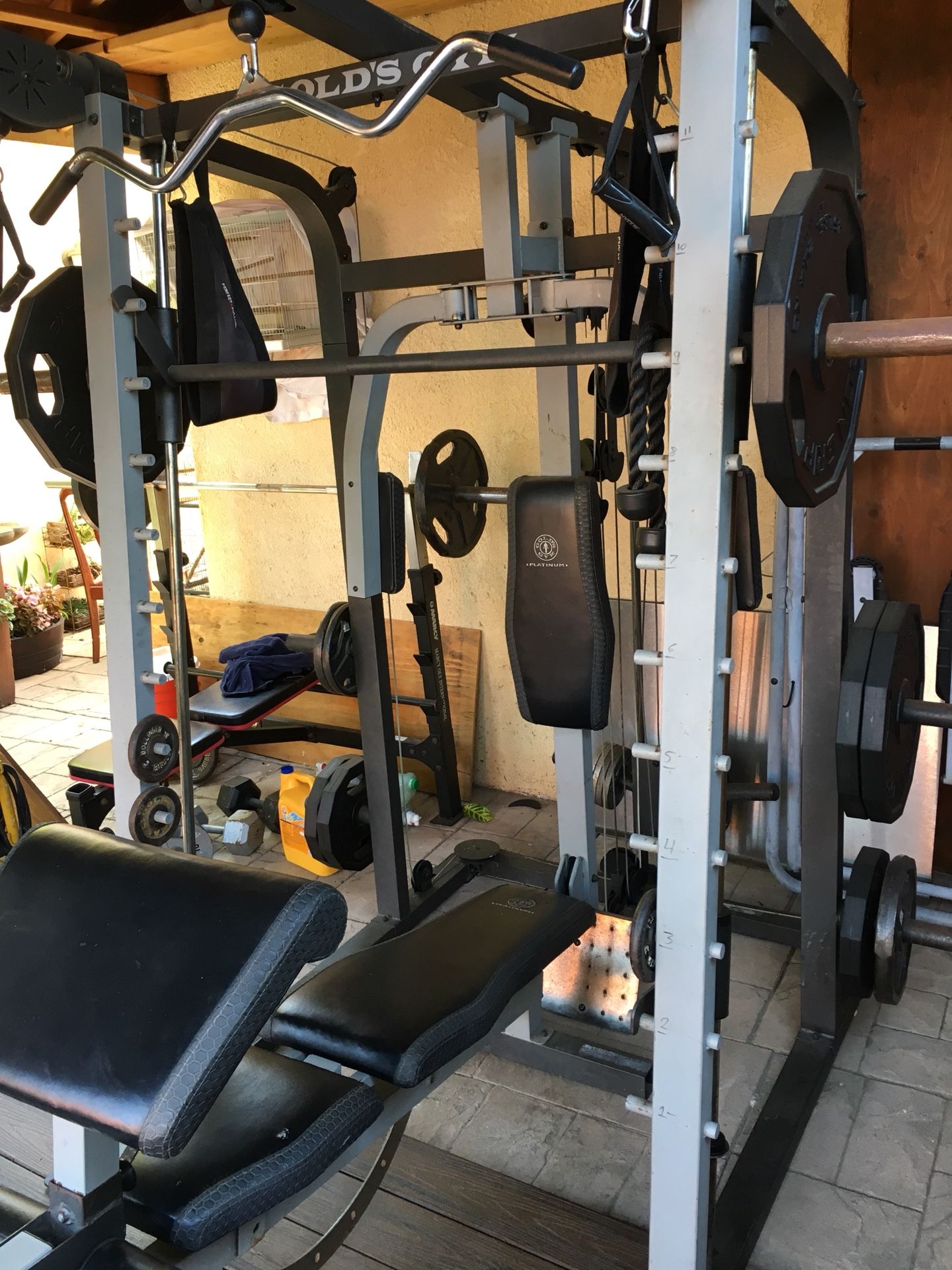 Golds gym HOME GYM EQUIPMENT - Rack/Benches/Dumbbells/Weights/Pull Up Bar