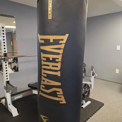 Boxing gear and punching bag with mount