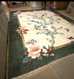 New in Box 5x7 Area Rug