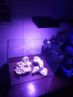 Fish tank