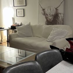 Pull-out couch/sofa - Farlov ikea (no original slip cover)