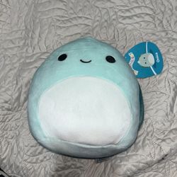 Turtle squishmallow