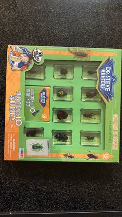 Collection of 10 real insects