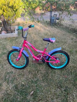 Schwinn Kids Bike 🩵