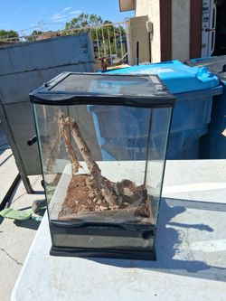 Reptile Aquirium Habitat