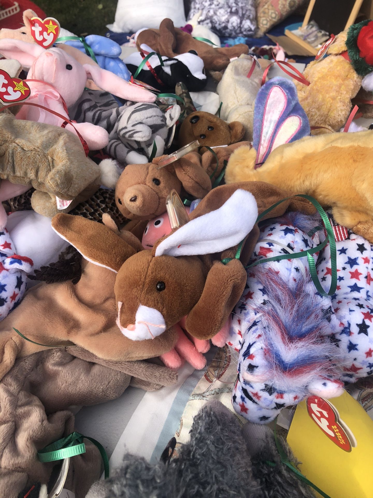 100 Beanie Babies