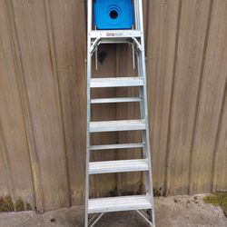 Werner 6 foot aluminum ladder