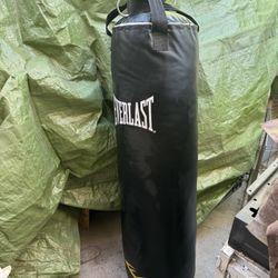 Everlast Punching Bag 