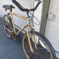 Vintage Kona Cruiser 