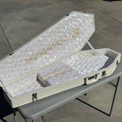 White Coffin Case for bass or guitar