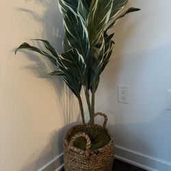Fake Plant