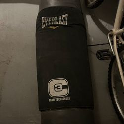 Everlast Punching Bag