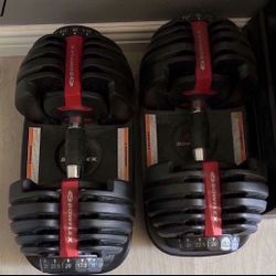 Bowflex Adjustable Dumbells 