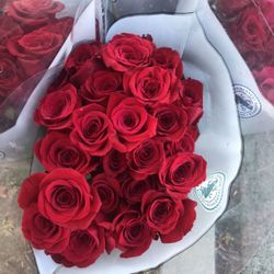 Roses For Valentines Day 