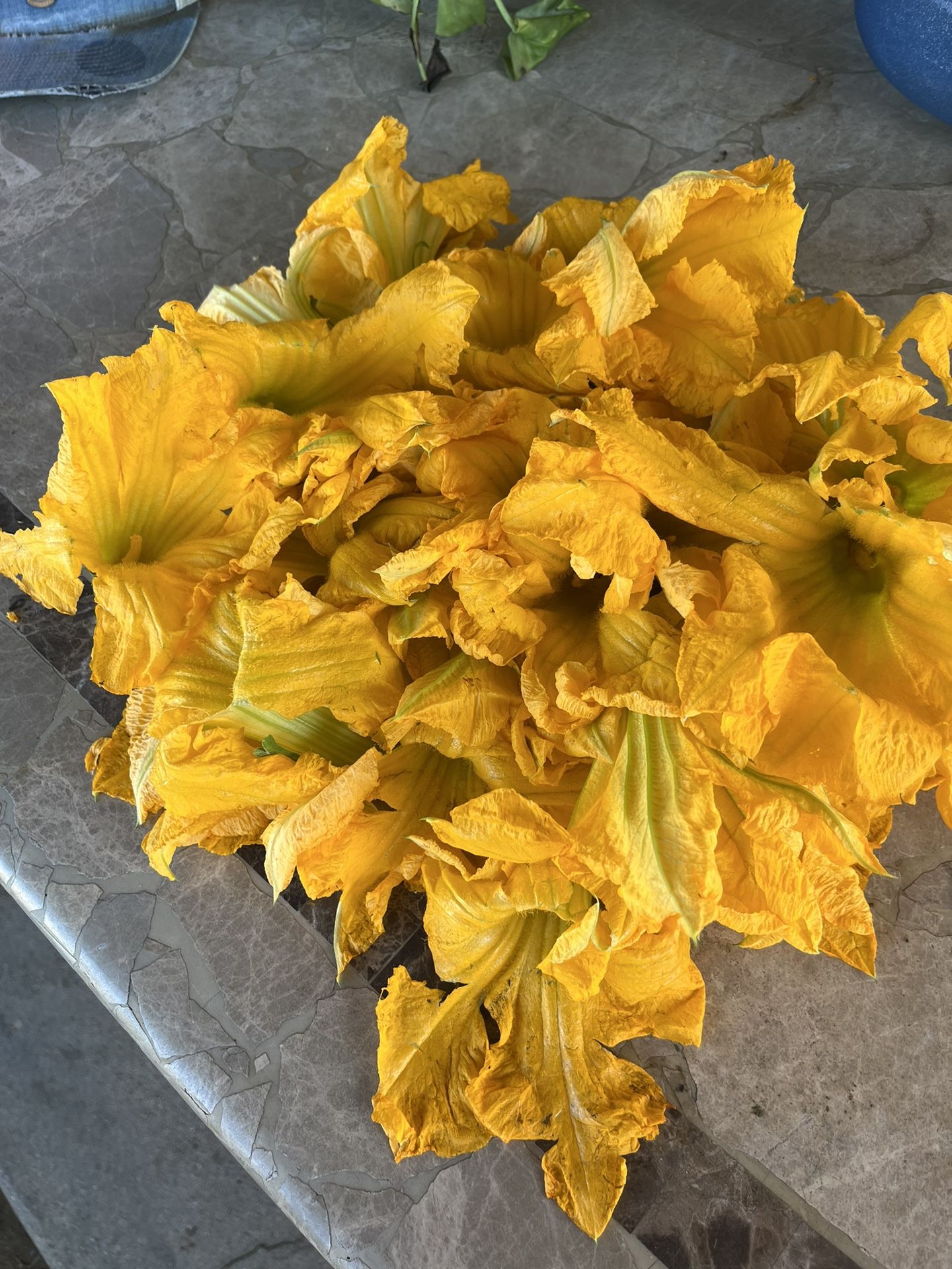 Flor De Calabaza. 10 Flores Por $1
