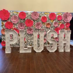 Big Paper Flowers 