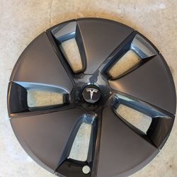 Model 3 Hubcap Cover
