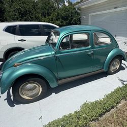 1963 Italian Volkswagen Beetle