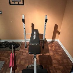 Bench Press