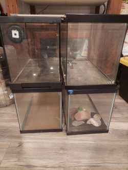 Glass Reptile Terrariums – Reptile Tank