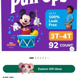 Pull Ups 2T-3T 96 count