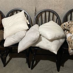 5 Pillow Inserts