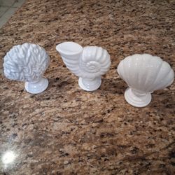 Decorative Glass Sea Shells And Reef