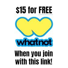 Whatnot Auction Today At 3pm