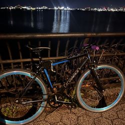 Single Speed / Fixie Bike 
