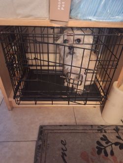 Dog Fence (ask for datails)