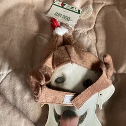 Cooked Turkey Hat For Dog Size : S / XS (great For Halloween & Thanksgiving )