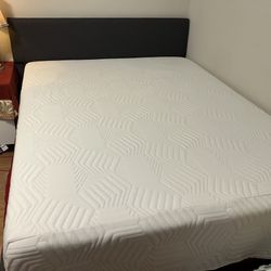 Queen Bed And Mattress