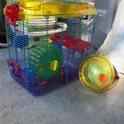 Hámster Cage 