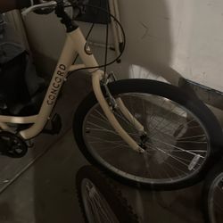 Concord Bike 