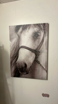 Horse frame black/grey/white - 27.5 x  19.5