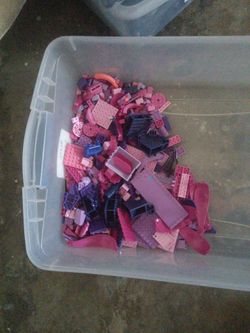 Delano $10 purple pink legos no bin