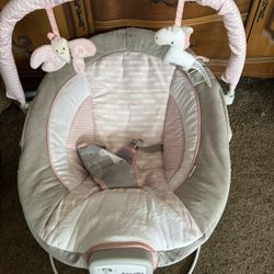 Baby Bouncer 