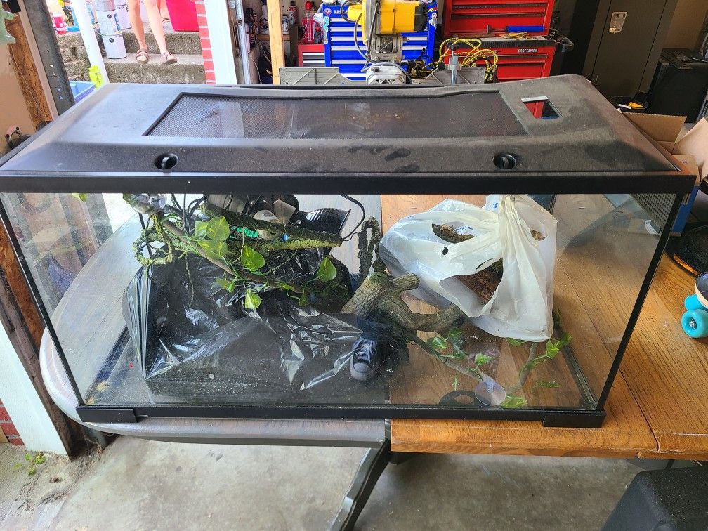 Large Reptile Tank-Lots Of Vines, Sand & Extras