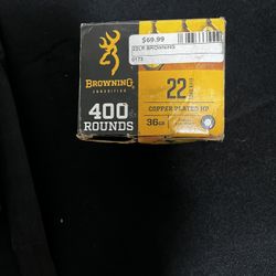 ammunition 22lr 