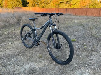 Trek Skye hardtail