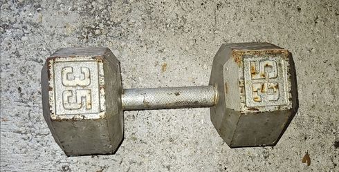 Dumbbell 35lbs