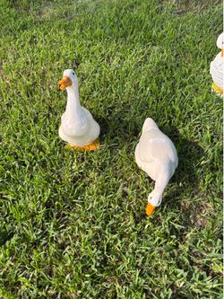 Ceramic ducks