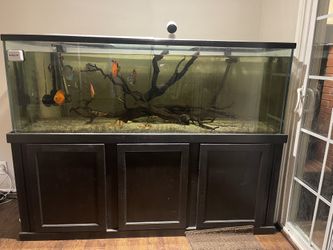 FISH TANK- 180 Gal. for Sale in Whittier, CA - OfferUp