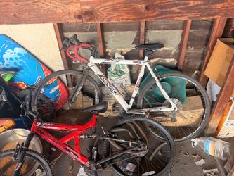 Racing bike Denali