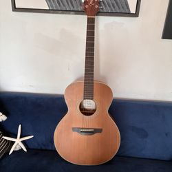 Takamine G Series  Acoustic Guitar